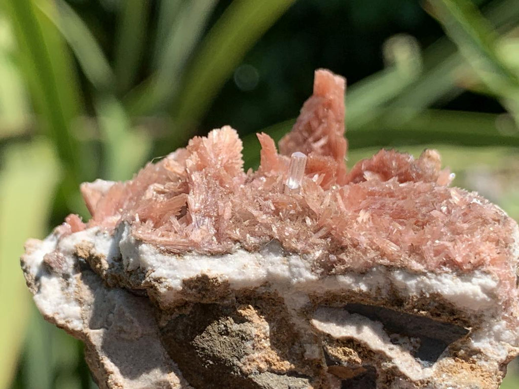 Natural Super Rare Inesite Specimen x 1 From Wessels Mine, Northern Cape, South Africa