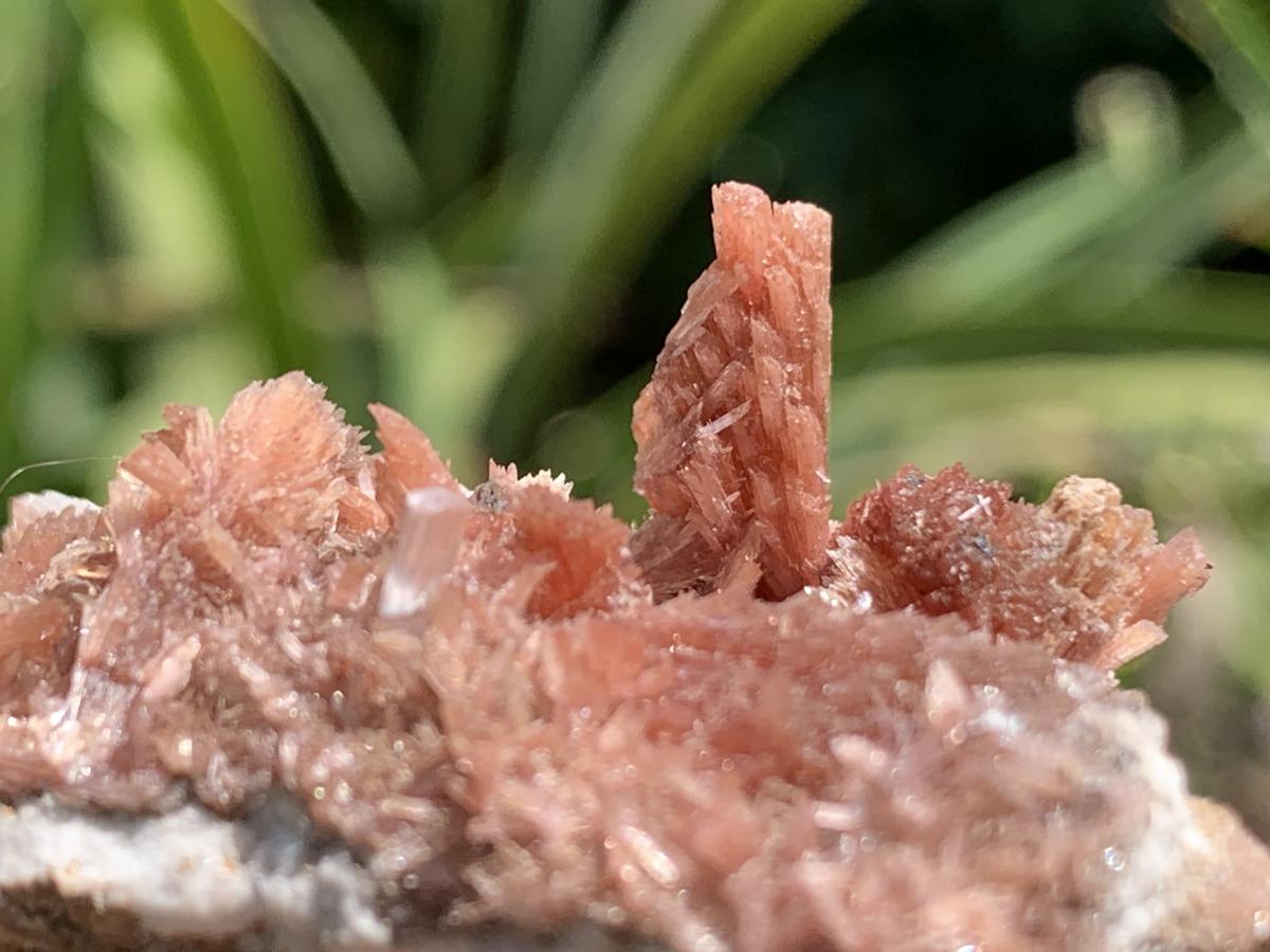 Natural Super Rare Inesite Specimen x 1 From Wessels Mine, Northern Cape, South Africa