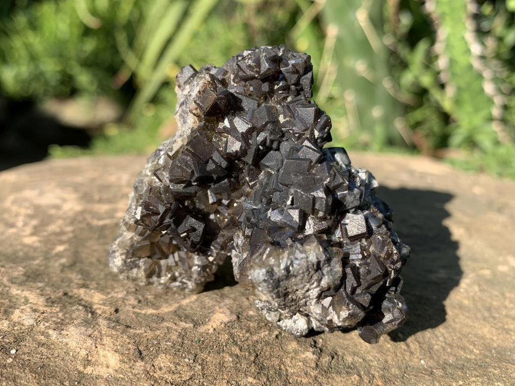 Natural Rare Black Smithsonite Cluster x 1 From Tsumeb, Namibia