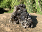 Natural Rare Black Smithsonite Cluster x 1 From Tsumeb, Namibia