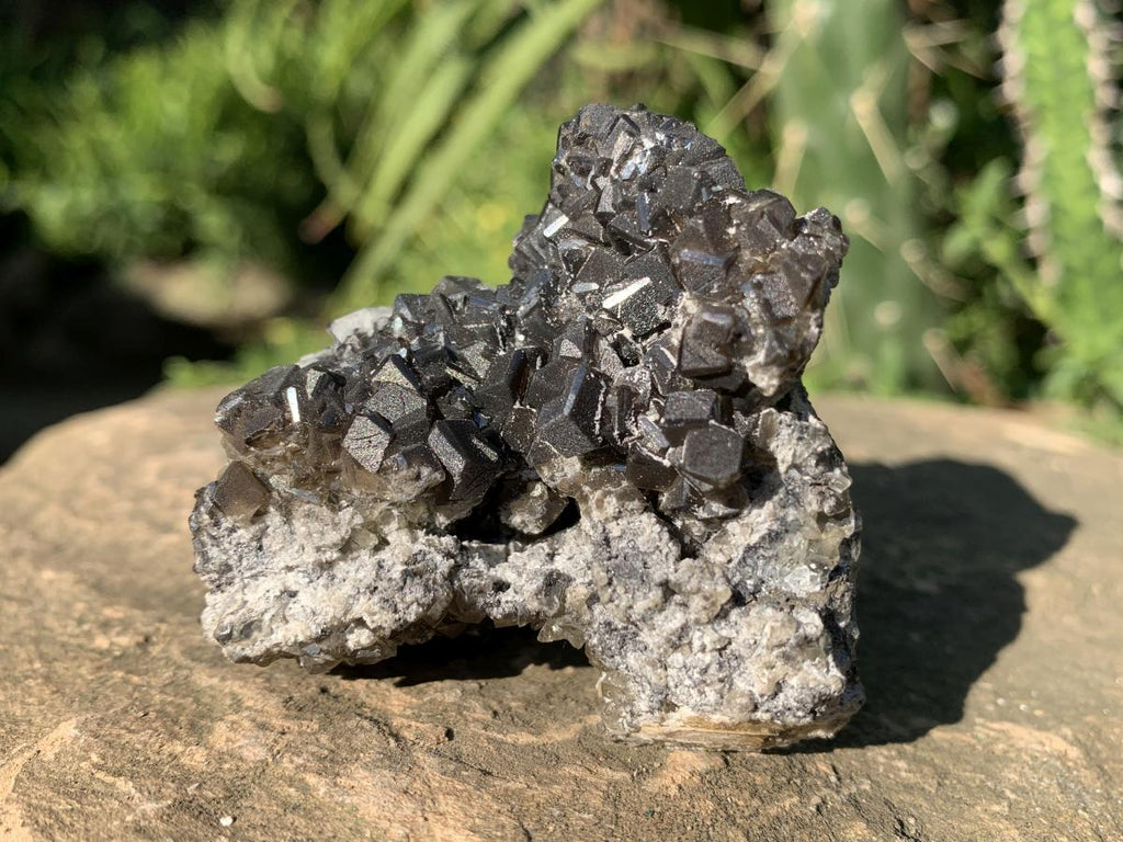 Natural Rare Black Smithsonite Cluster x 1 From Tsumeb, Namibia