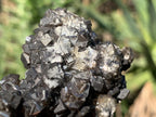 Natural Rare Black Smithsonite Cluster x 1 From Tsumeb, Namibia