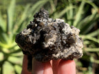 Natural Rare Black Smithsonite Cluster x 1 From Tsumeb, Namibia