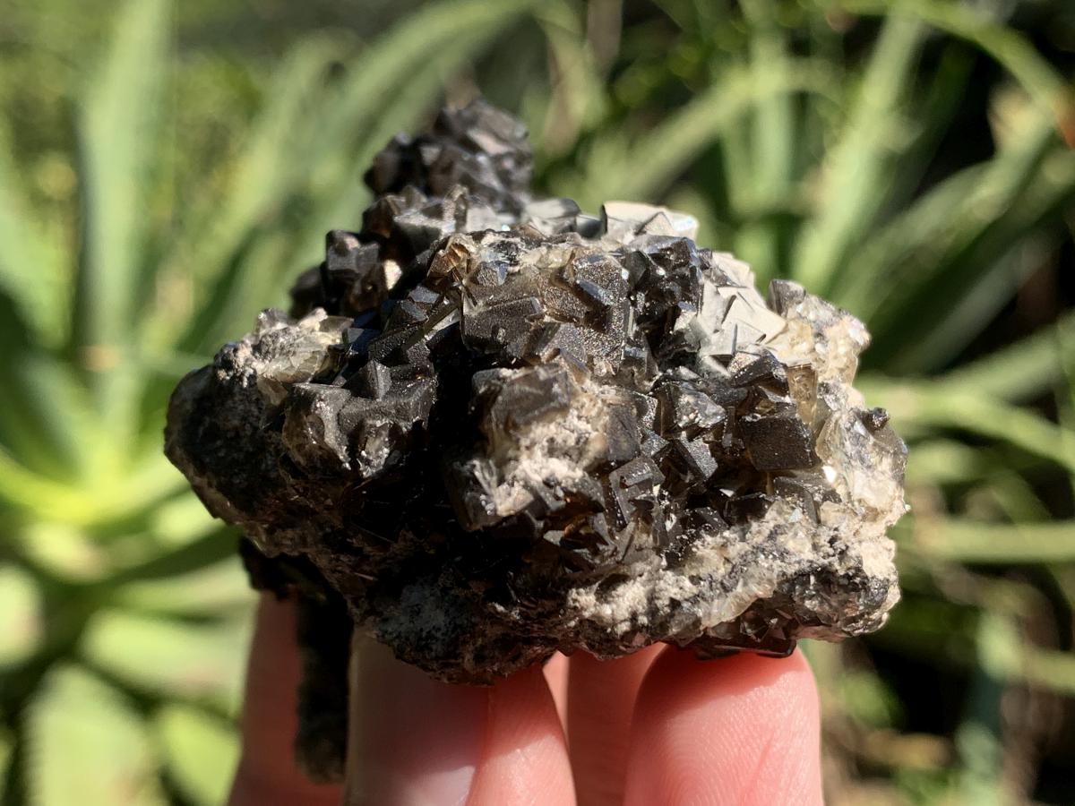 Natural Rare Black Smithsonite Cluster x 1 From Tsumeb, Namibia