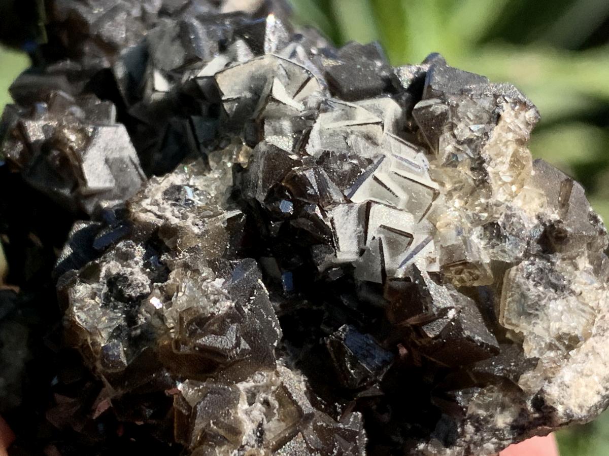 Natural Rare Black Smithsonite Cluster x 1 From Tsumeb, Namibia