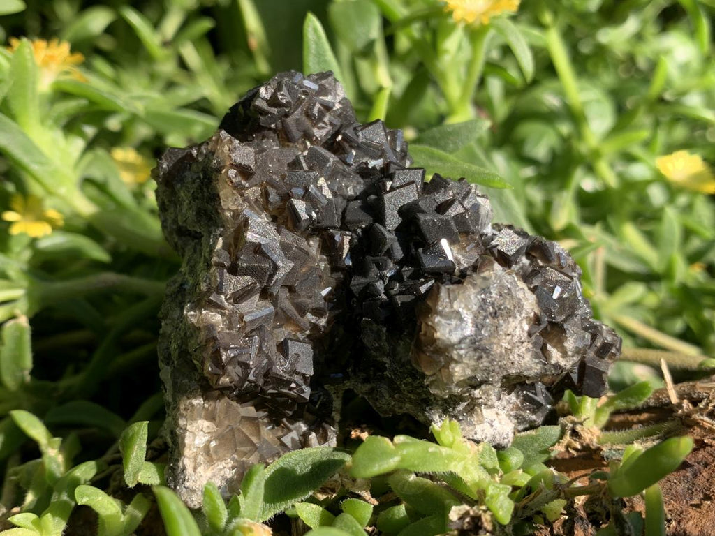 Natural Rare Black Smithsonite Cluster x 1 From Tsumeb, Namibia