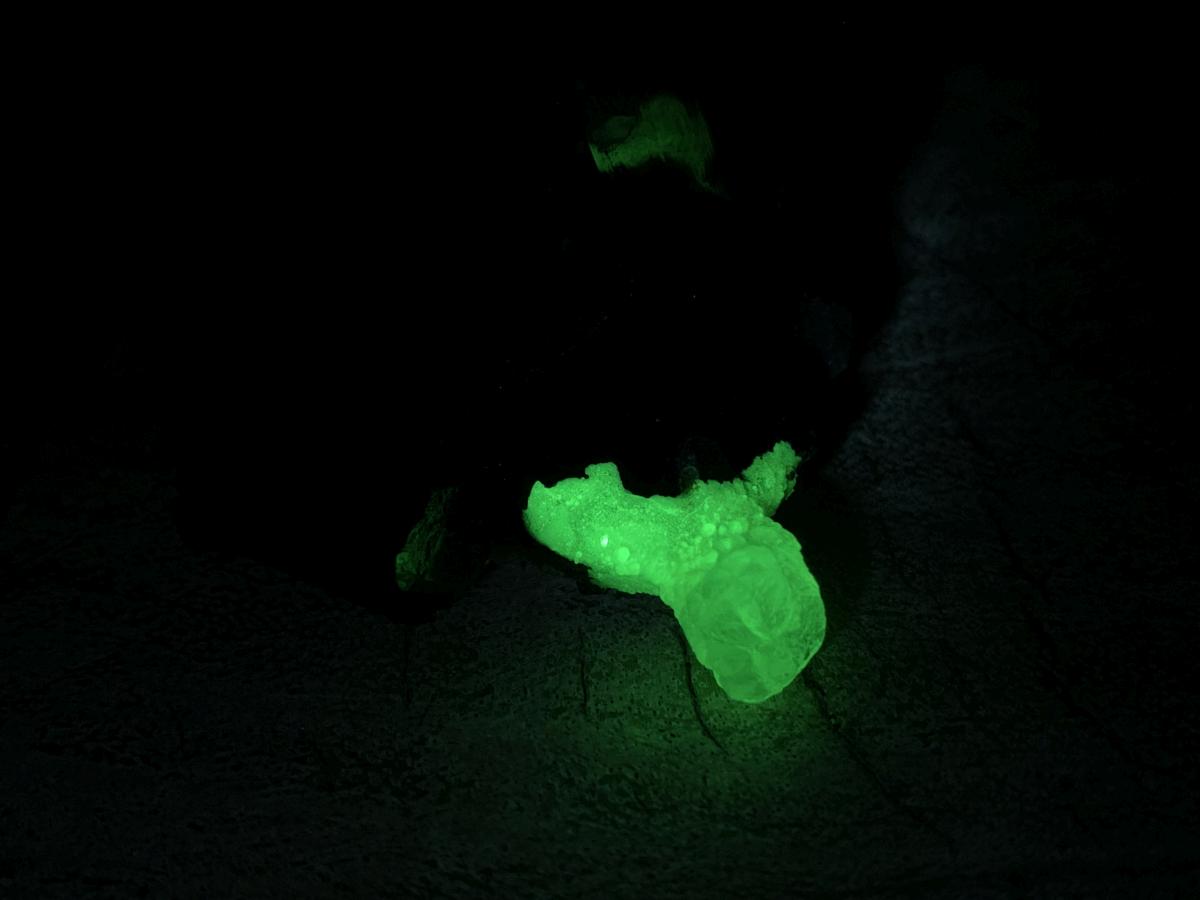 Natural Small Schorl Black Tourmaline Cluster with Fluorescent Hyalite Opal x 1 From Erongo, Namibia