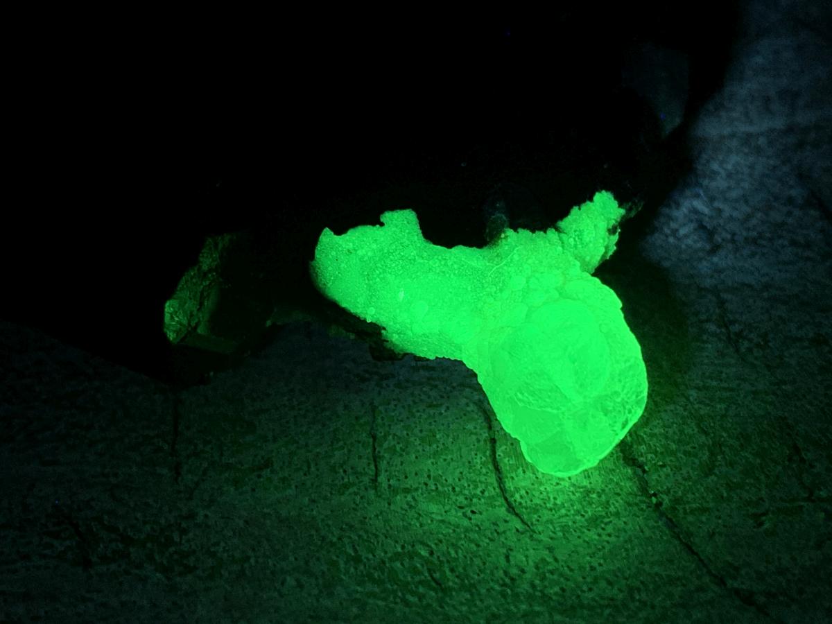Natural Small Schorl Black Tourmaline Cluster with Fluorescent Hyalite Opal x 1 From Erongo, Namibia