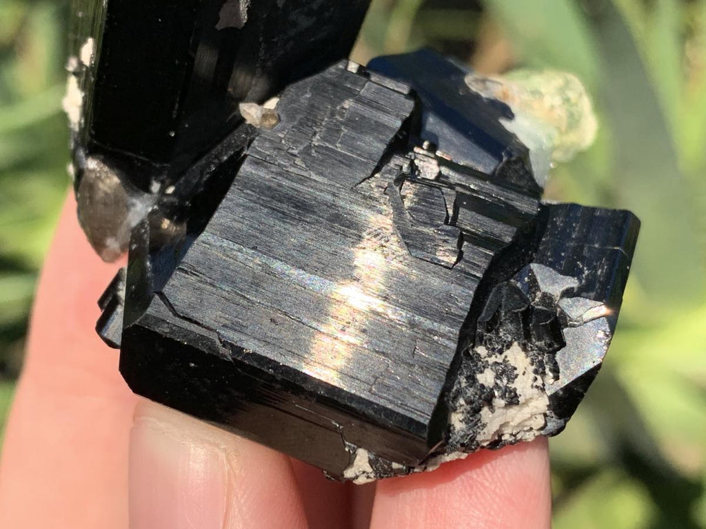 Natural Small Schorl Black Tourmaline Cluster with Fluorescent Hyalite Opal x 1 From Erongo, Namibia
