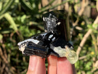 Natural Small Schorl Black Tourmaline Cluster with Fluorescent Hyalite Opal x 1 From Erongo, Namibia