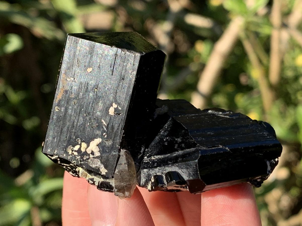 Natural Small Schorl Black Tourmaline Cluster with Fluorescent Hyalite Opal x 1 From Erongo, Namibia