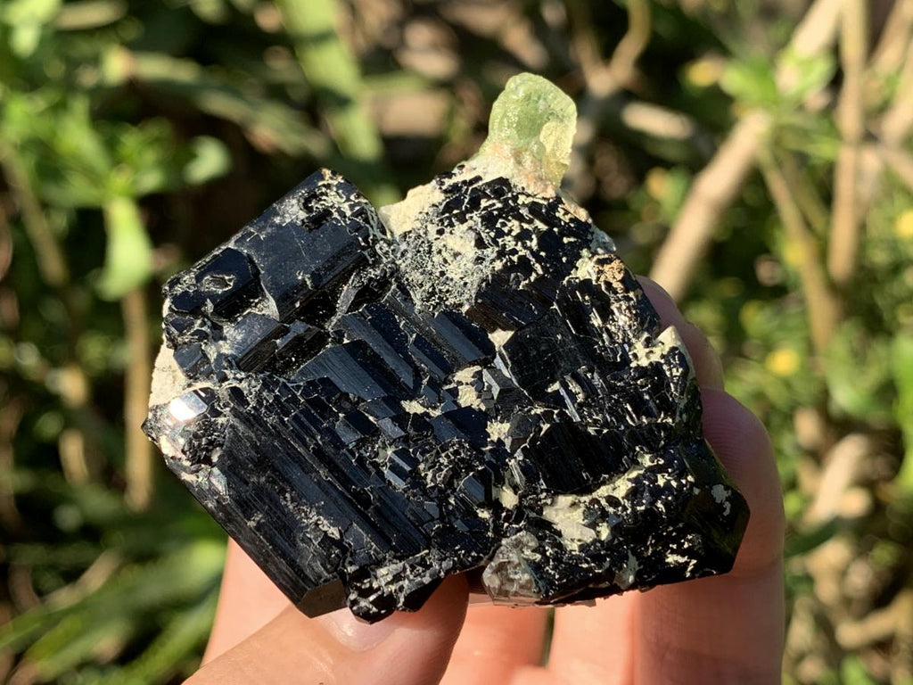 Natural Small Schorl Black Tourmaline Cluster with Fluorescent Hyalite Opal x 1 From Erongo, Namibia