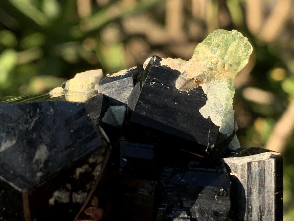 Natural Small Schorl Black Tourmaline Cluster with Fluorescent Hyalite Opal x 1 From Erongo, Namibia