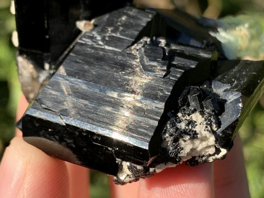 Natural Small Schorl Black Tourmaline Cluster with Fluorescent Hyalite Opal x 1 From Erongo, Namibia