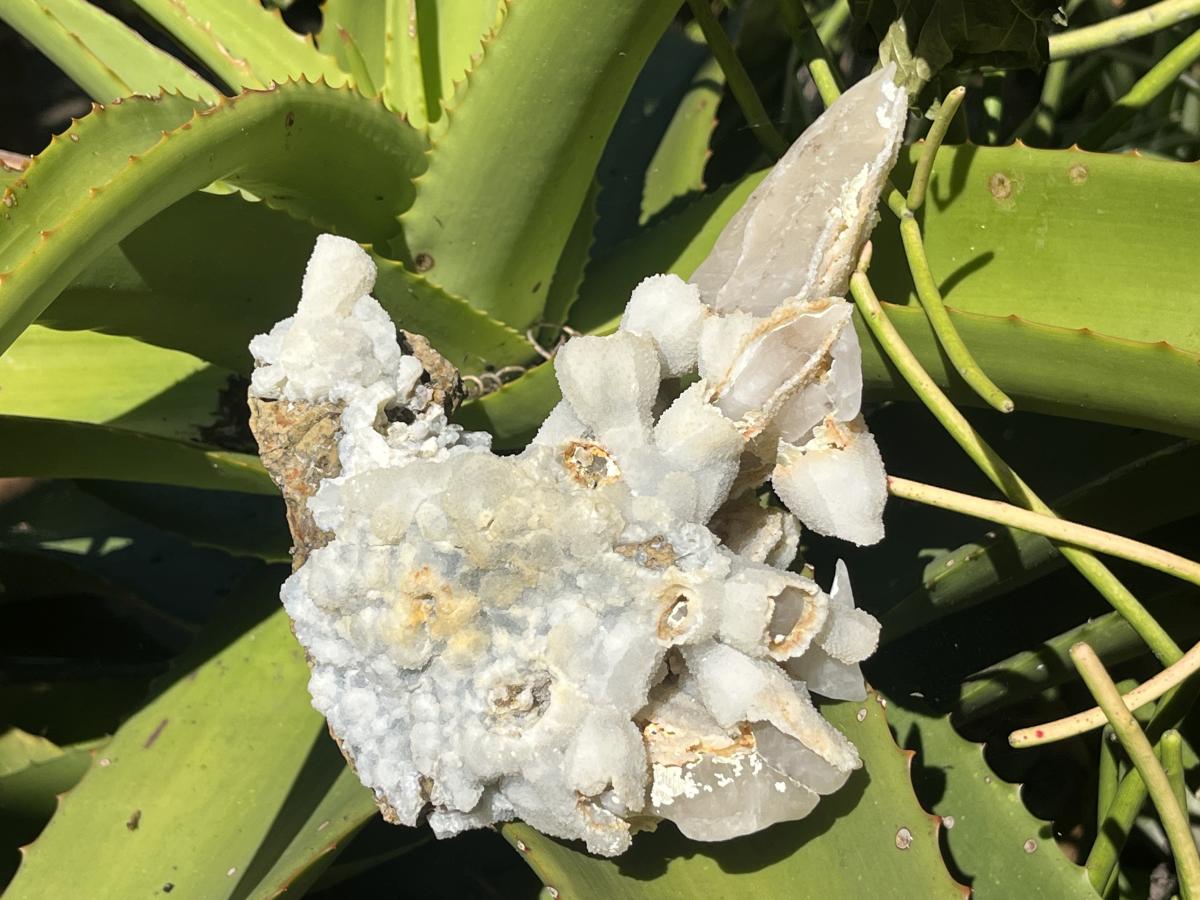 Natural Rare Spearhead Fluorescent Calcite Specimen x 1 From Albert's Mountain, Lesotho