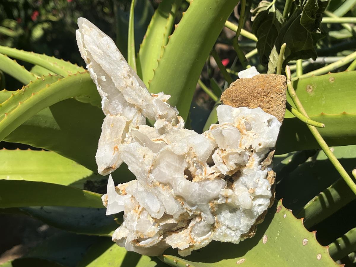 Natural Rare Spearhead Fluorescent Calcite Specimen x 1 From Albert's Mountain, Lesotho