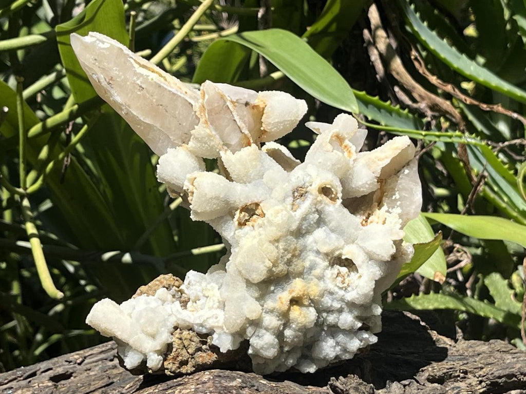 Natural Rare Spearhead Fluorescent Calcite Specimen x 1 From Albert's Mountain, Lesotho