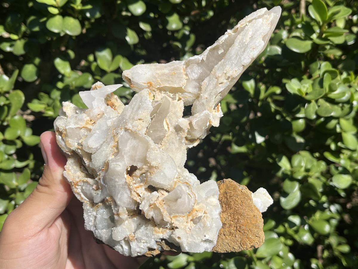 Natural Rare Spearhead Fluorescent Calcite Specimen x 1 From Albert's Mountain, Lesotho