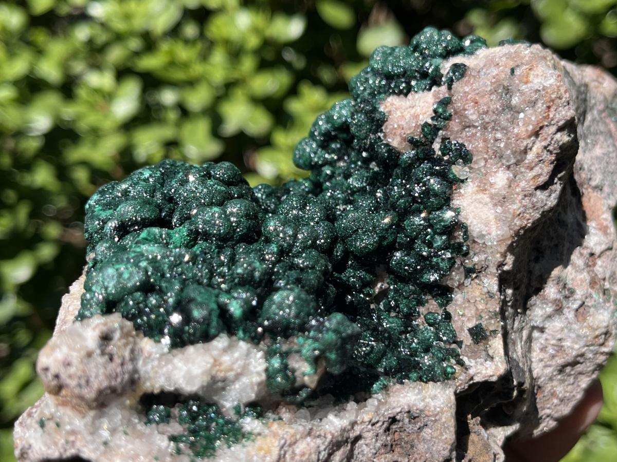Natural Classic Crystalline Ball Malachite Cabinet Specimen x 1 From Mindingi Mine, Congo