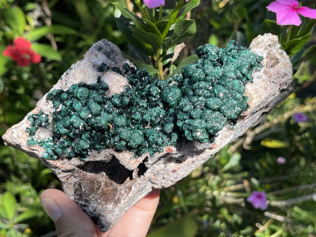 Natural Classic Crystalline Ball Malachite Cabinet Specimen x 1 From Mindingi Mine, Congo