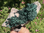 Natural Classic Crystalline Ball Malachite Cabinet Specimen x 1 From Mindingi Mine, Congo