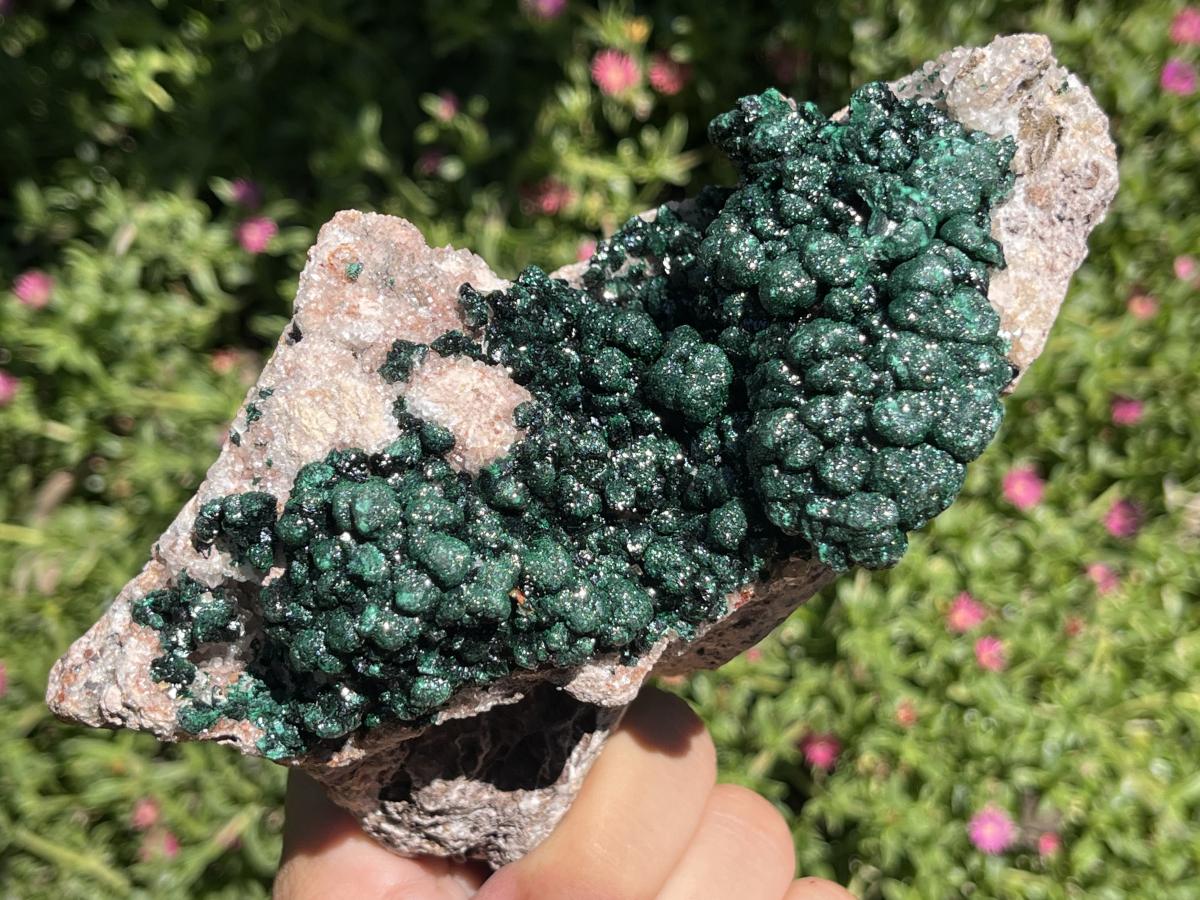 Natural Classic Crystalline Ball Malachite Cabinet Specimen x 1 From Mindingi Mine, Congo