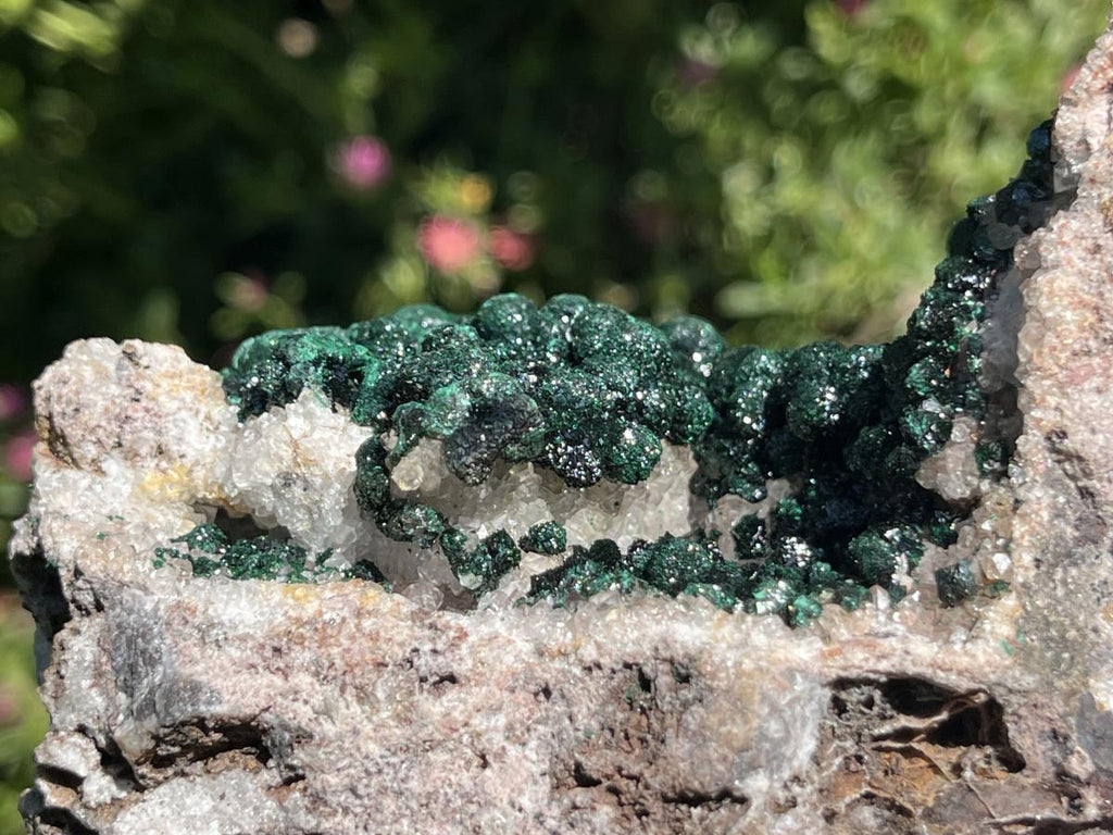 Natural Classic Crystalline Ball Malachite Cabinet Specimen x 1 From Mindingi Mine, Congo