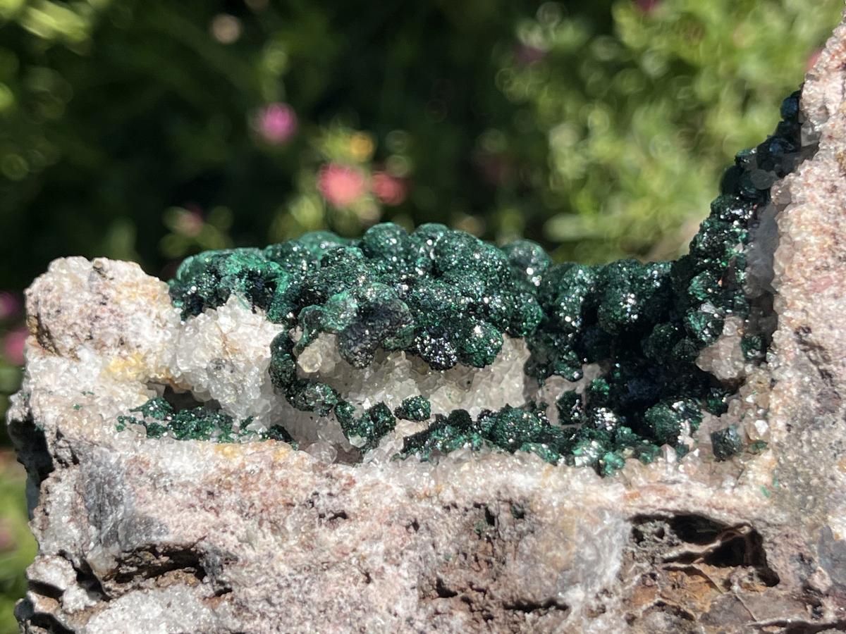 Natural Classic Crystalline Ball Malachite Cabinet Specimen x 1 From Mindingi Mine, Congo