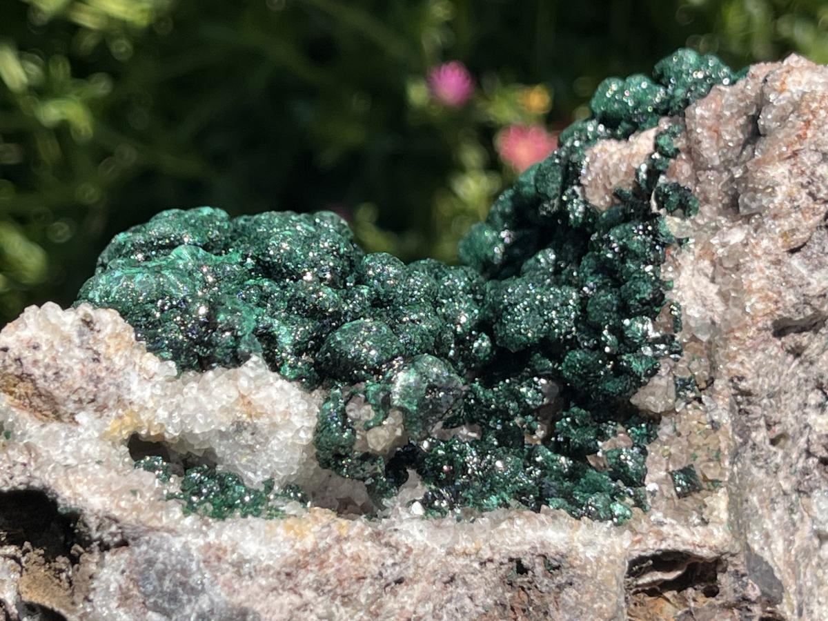 Natural Classic Crystalline Ball Malachite Cabinet Specimen x 1 From Mindingi Mine, Congo