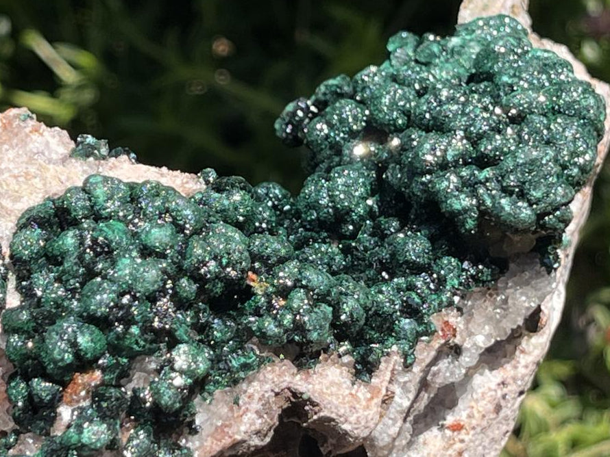 Natural Classic Crystalline Ball Malachite Cabinet Specimen x 1 From Mindingi Mine, Congo