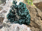 Natural Classic Crystalline Ball Malachite Cabinet Specimen x 1 From Mindingi Mine, Congo
