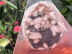 Polished Coral Flower Agate Specimen in Large Resin Pyramid x 1 From Madagascar