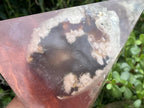 Polished Coral Flower Agate Specimen in Large Resin Pyramid x 1 From Madagascar
