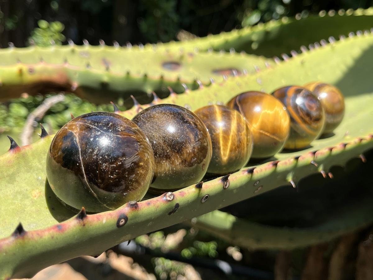 Polished Golden 40mm Tigers Eye Sphere-Ball x1 - From Prieska in South Africa