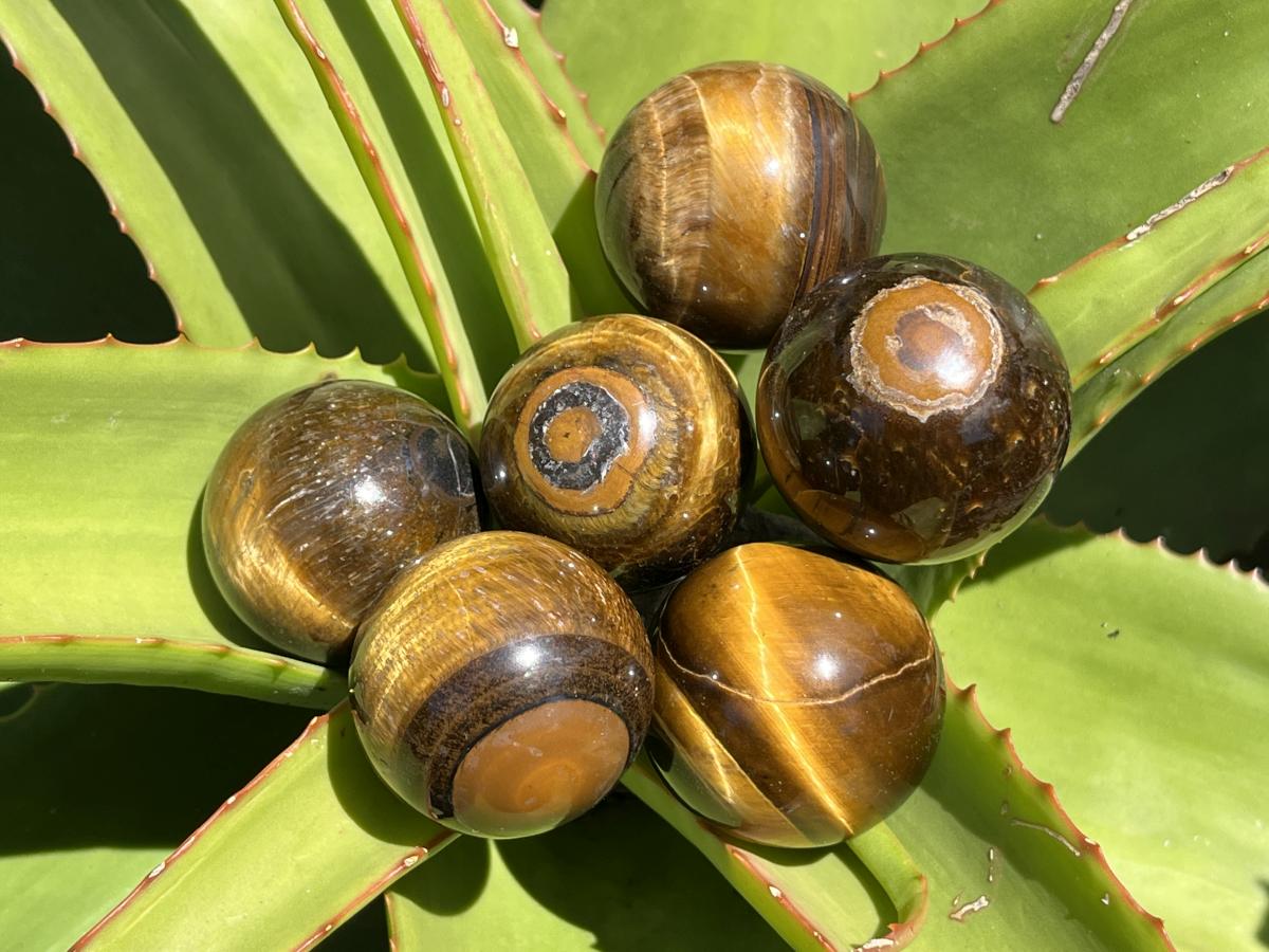 Polished Golden 40mm Tigers Eye Sphere-Ball x1 - From Prieska in South Africa