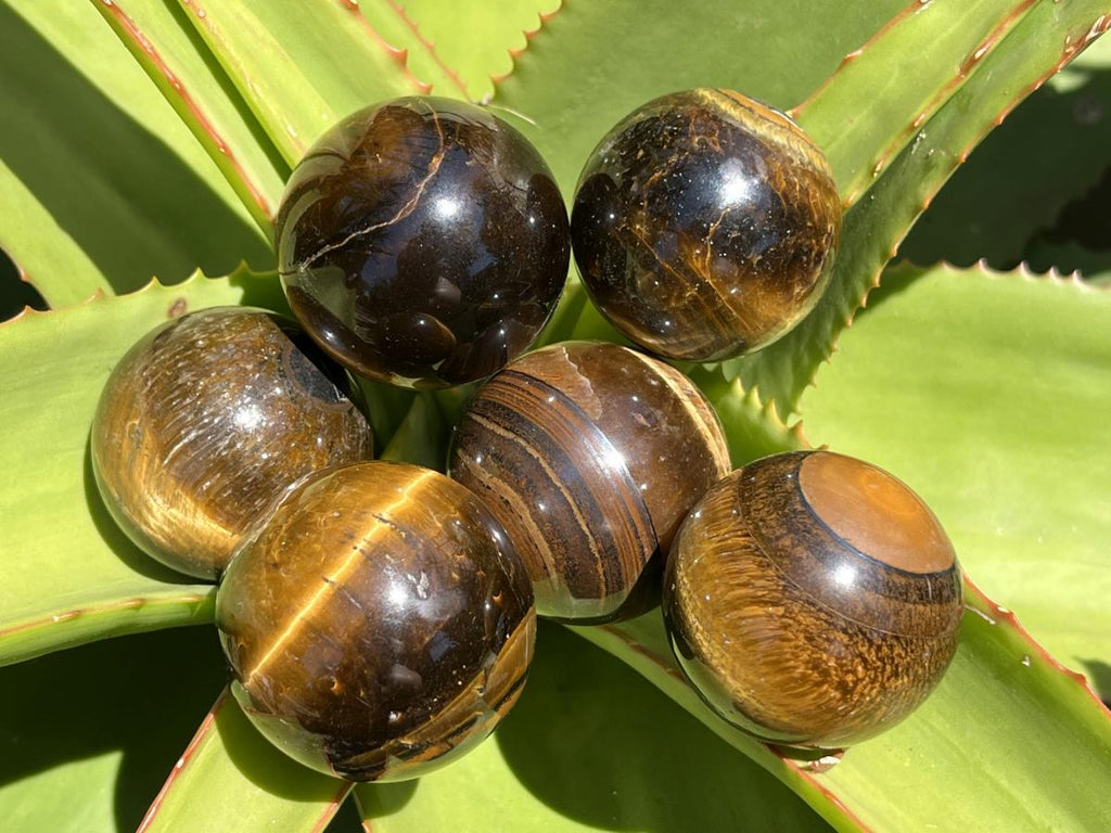 Polished Golden 40mm Tigers Eye Sphere-Ball x1 - From Prieska in South Africa