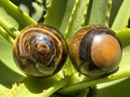 Polished Golden 40mm Tigers Eye Sphere-Ball x1 - From Prieska in South Africa