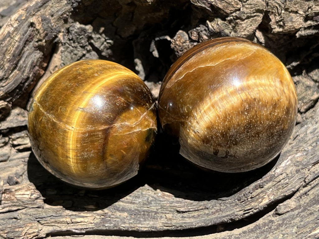 Polished Golden 40mm Tigers Eye Sphere-Ball x1 - From Prieska in South Africa