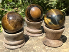 Polished Golden 40mm Tigers Eye Sphere-Ball x1 - From Prieska in South Africa