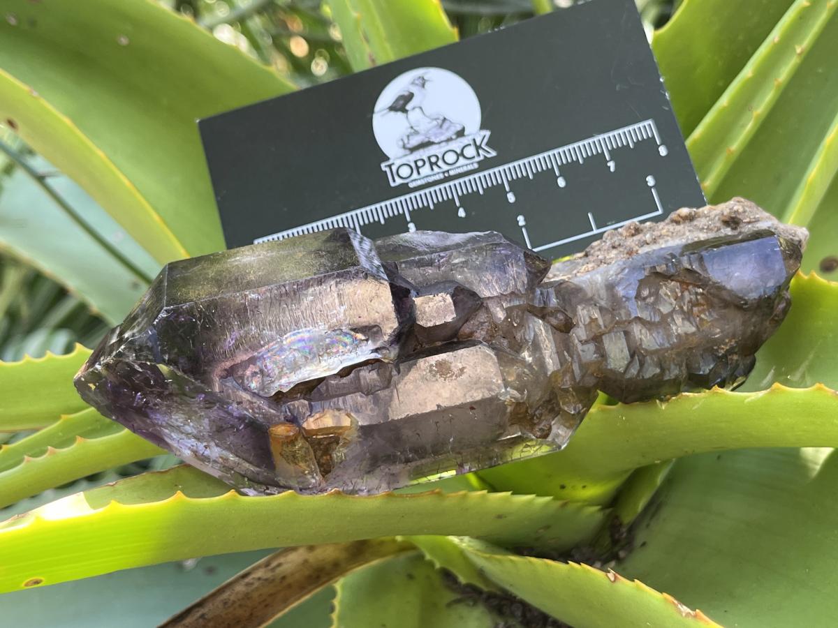 Natural Double Terminated Sceptre, Smokey Amethyst Window Crystal x 1 From Chiredzi, Zimbabwe