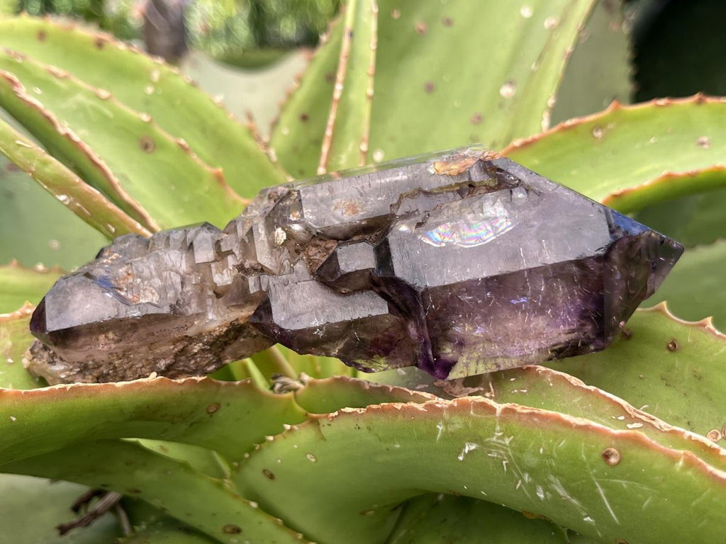 Natural Double Terminated Sceptre, Smokey Amethyst Window Crystal x 1 From Chiredzi, Zimbabwe