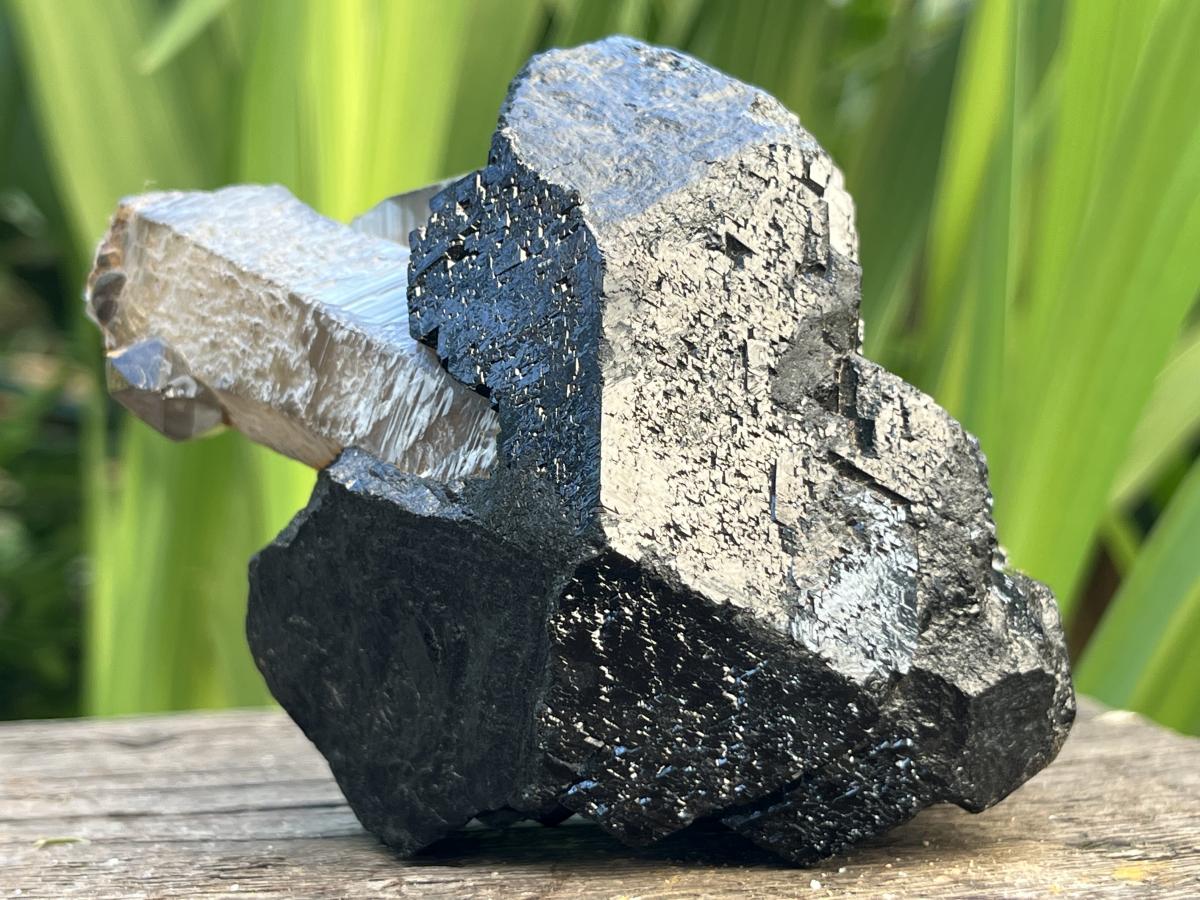 Natural Schorl Black Tourmaline Sceptre with Smokey Quartz Stem x 1 From Erongo Mountain, Namibia