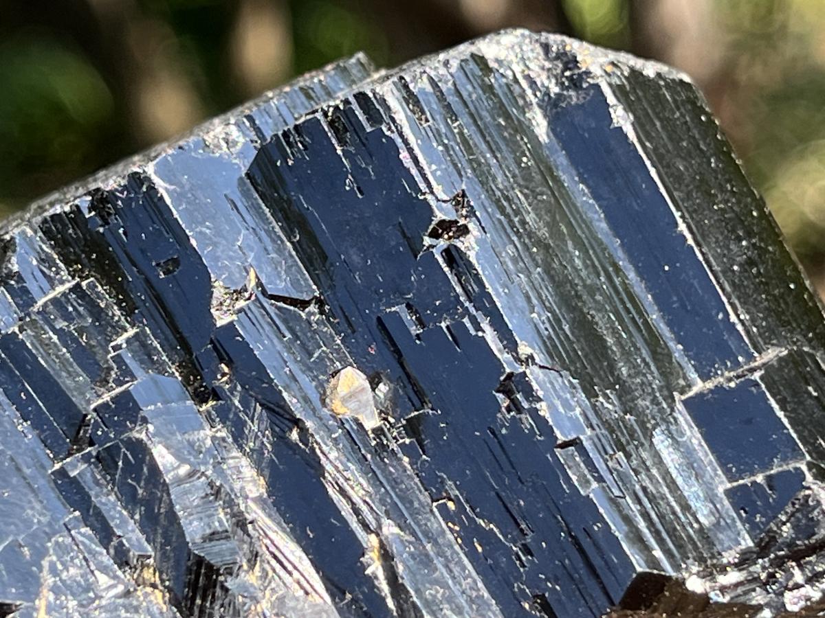 Natural Schorl Black Tourmaline Sceptre with Smokey Quartz Stem x 1 From Erongo Mountain, Namibia