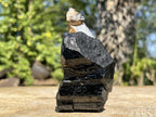 Natural Schorl Black Tourmaline Sceptre with Smokey Quartz Stem x 1 From Erongo Mountain, Namibia