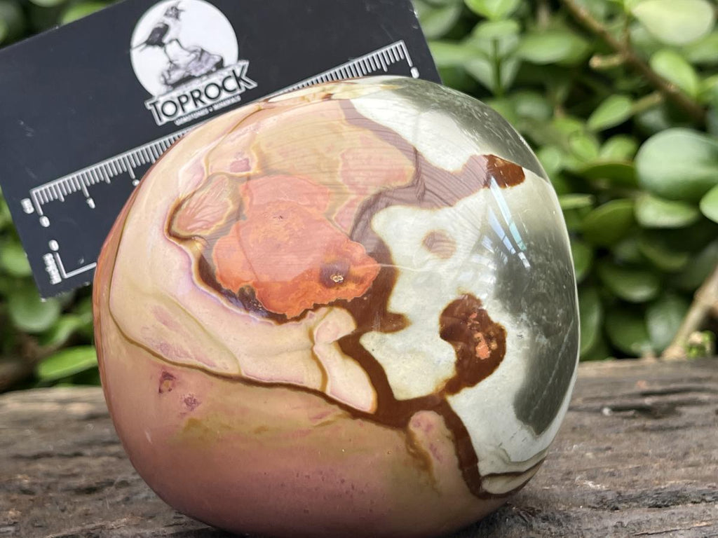 Polished On One Side Polychrome Picasso Jasper Display Specimen x 1 From Madagascar