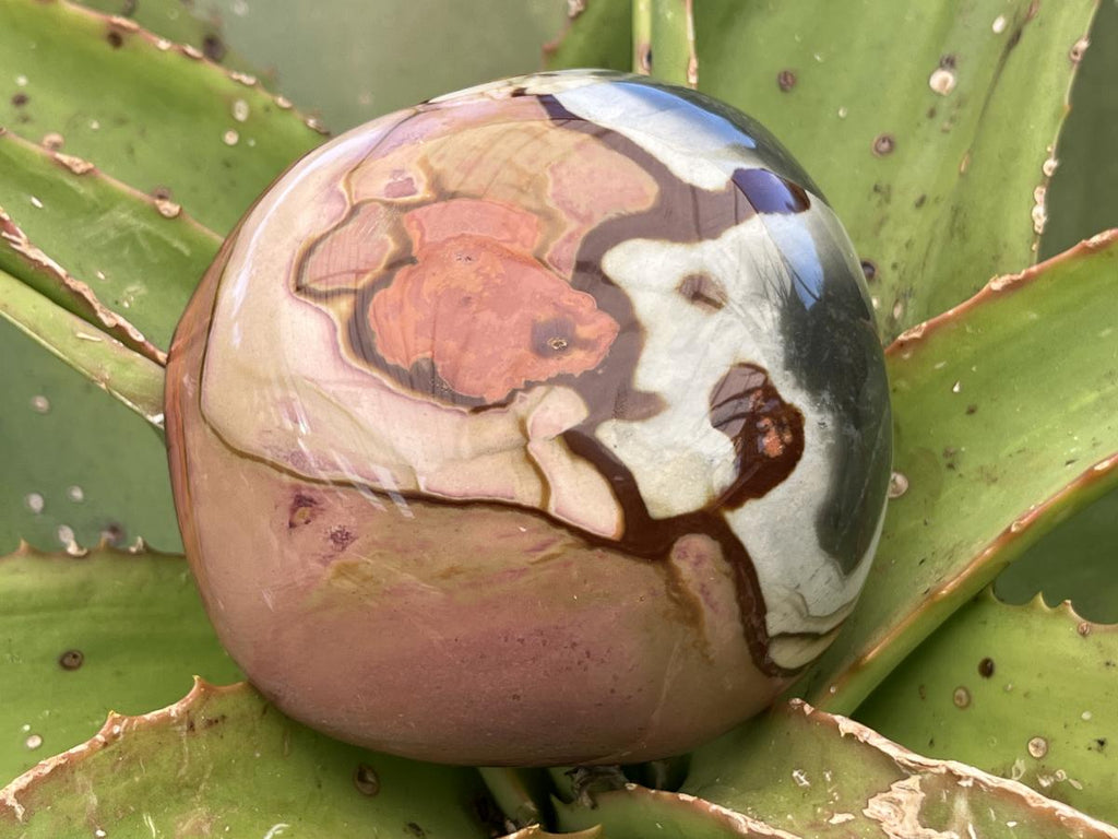 Polished On One Side Polychrome Picasso Jasper Display Specimen x 1 From Madagascar