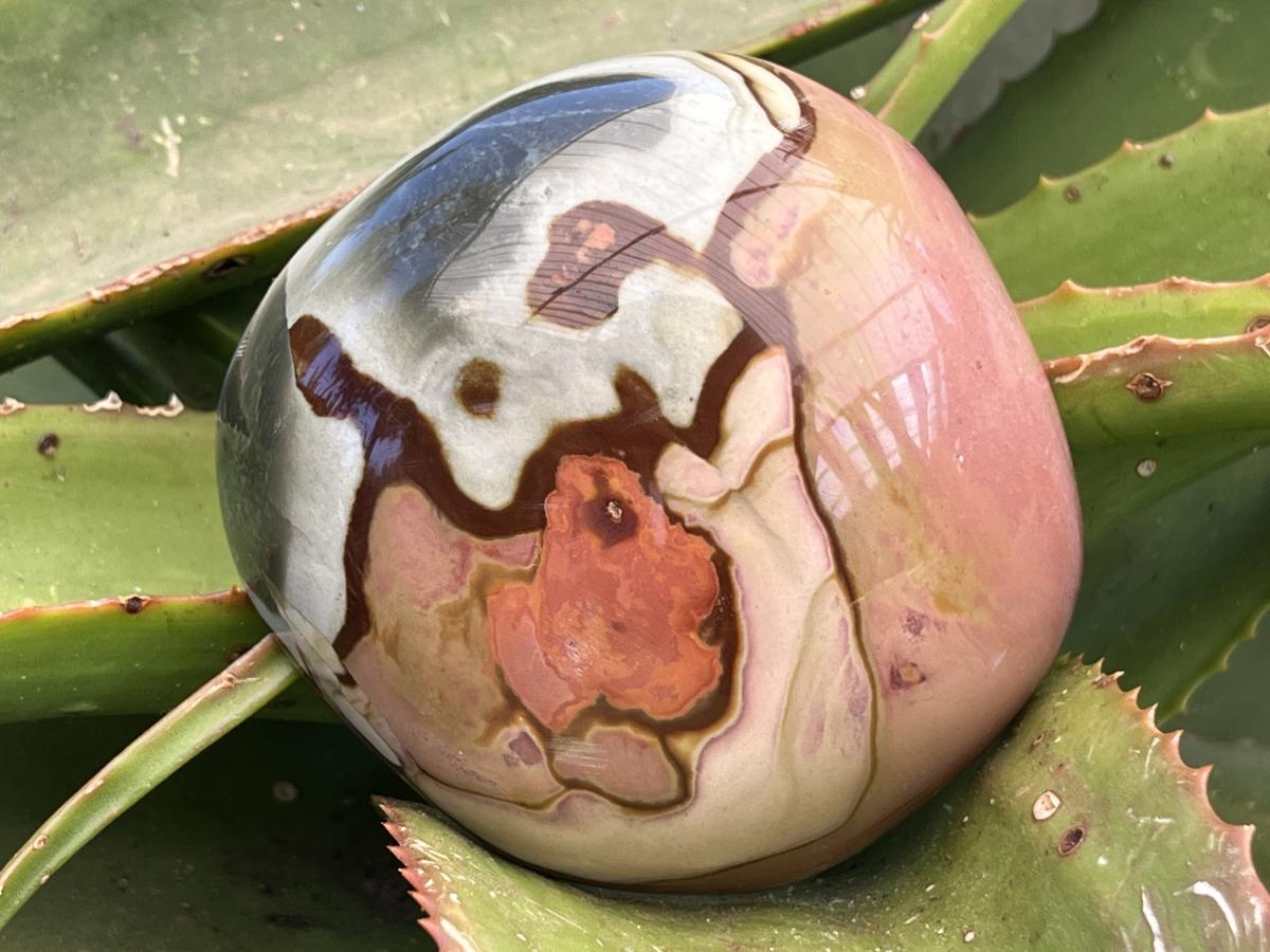 Polished On One Side Polychrome Picasso Jasper Display Specimen x 1 From Madagascar