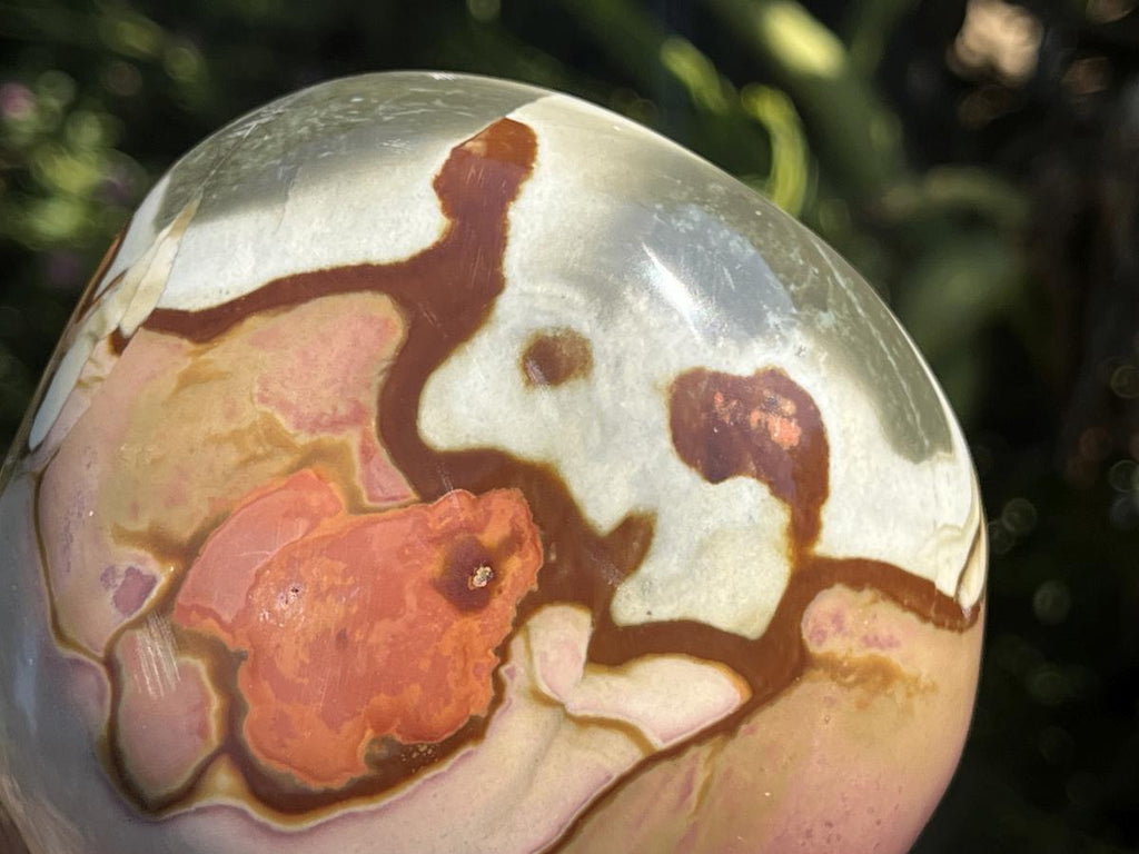 Polished On One Side Polychrome Picasso Jasper Display Specimen x 1 From Madagascar