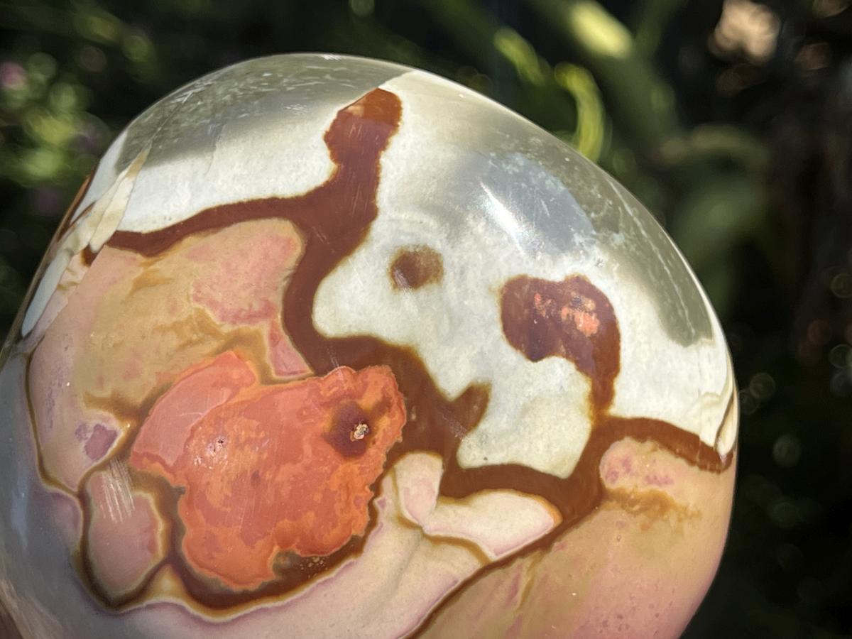 Polished On One Side Polychrome Picasso Jasper Display Specimen x 1 From Madagascar
