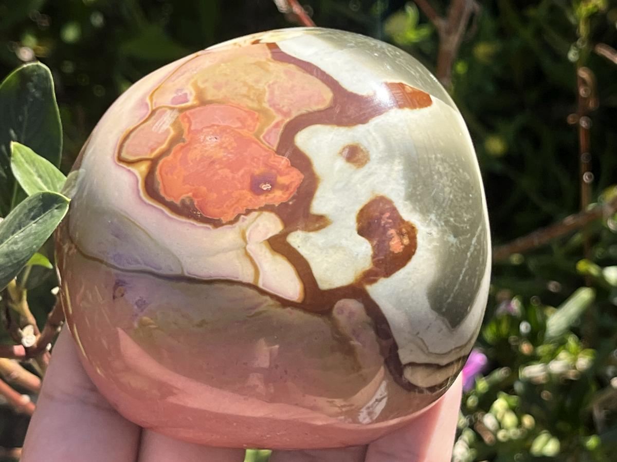 Polished On One Side Polychrome Picasso Jasper Display Specimen x 1 From Madagascar